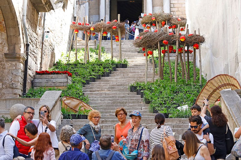 Temps de Flors